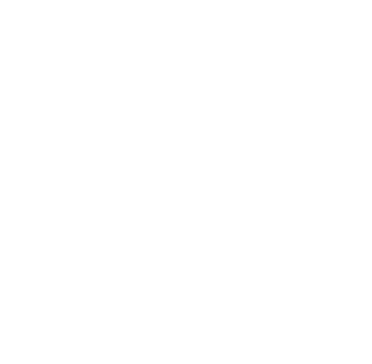 Rapid Lynx Telecommunications